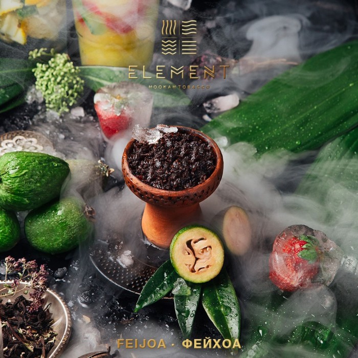 Element (Земля) Feijoa Lemonade (Лимонад Фейхоа)