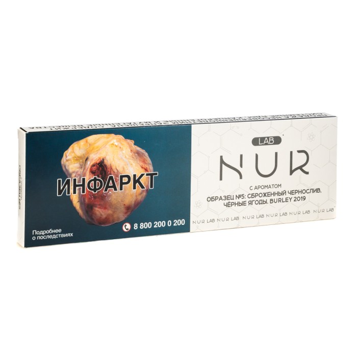 NUR LAB Образец 5 (Чернослив Чёрные ягоды)